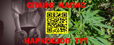 ECSTASY Гусь-Хрустальный
